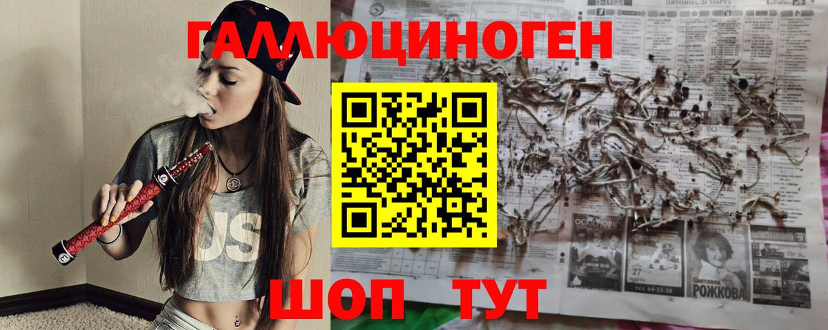 Галлюциногенные грибы Cubensis  Вход с VPN  Череповец  Галлюциногенные грибы мицелий 